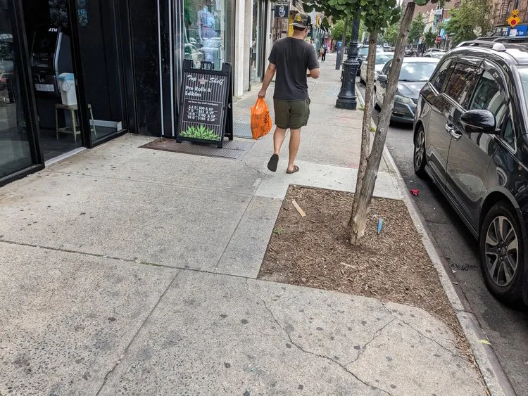 Due to tree pits, cellar doors and other obstructions, the clear path can get as narrow as 3 feet.md|PXL_20230812_144127632 1.jpg|Due to tree pits, cellar doors and other obstructions, the clear path can get as narrow as 3 feet