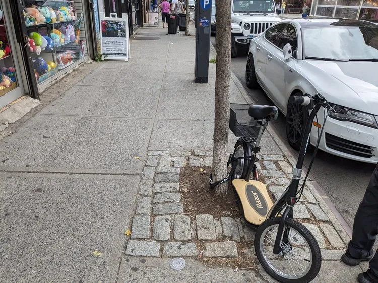 PXL_20230812_151504550