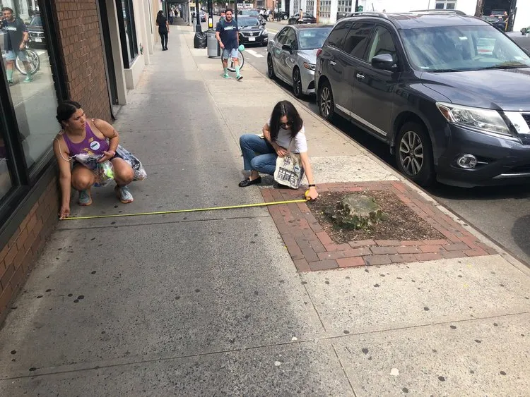 Tree pits can narrow the walk path to 5-8 feet..md|WhatsApp+Image+2023-08-12+at+13.04.47.jpg|Tree pits can narrow the walk path to 5-8 feet.